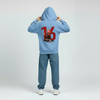 Enfant de dos portant le sweat bleu ciel Charles Leclerc #16