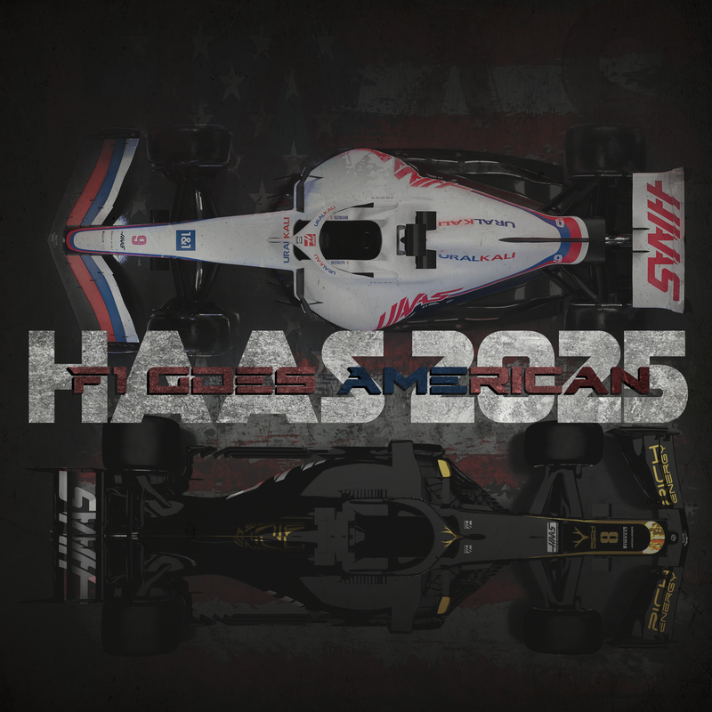 F1-Leinwand Haas Amerika auf der Geraden, Ansicht 2